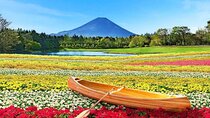 Mt. Fuji & Kawaguchiko Flower Viewing Tour (with Free Kusa Mochi)