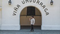 Half day Santa Rita and Undurraga Winery Tasting Tour in Santiago