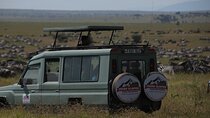 8 Days Explore Serengeti Great Wildebeest Migration Tour