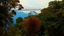 Nyungwe National Park: A 3-Day Wilderness Journey