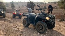 From Taghazout: Desert Quad + goats in the trees