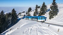  Mount Rigi & Lucerne with Cruise Private Day Trip