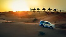 Doha: Sunset Desert Safari, ATV, Camel, Sandboarding & Inland Sea