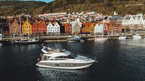 Evening private cruise in Bergen, possibility for a swim