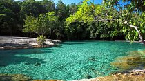 Tiger Cave and Emerald Pool Jungle Tour