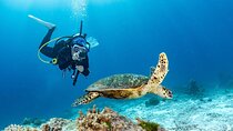 Marsa Mubarak Snorkeling & one intro Dive with Lunch :Marsa Alam
