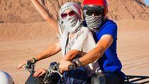 Safari ATV Quad Buggy Jeep Bedouin Show with Dinner in Hurghada