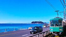 Kamakura Enoshima and Yokohama night view day Tour from Tokyo