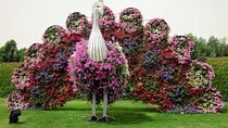 Miracle Garden Dubai Tickets with optional pickup
