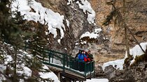 Shared Tour in Lake Louise Emerald lake & Johnston Canyon & More!