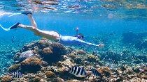 Tiran Island Snorkeling with Transfers & Lunch - Sharm El Sheikh