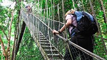 Kuala Lumpur: Taman Negara National Park Trek & Boat Ride