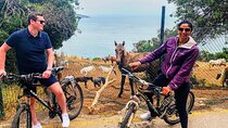 Island Cycling Exploration in Adalar Buyukada