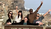Cape Peninsula Private Sightseeing Tour 