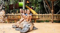 Currumbin Wildlife Sanctuary and Byron Bay Day Tour in Chinese