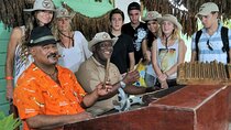 Cigars Shopping Tours From Punta Cana with Transportation Included