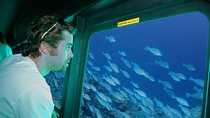 Sea Scope Submarine Tour & Snorkeling in Hurghada