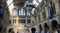 Natural History Museum Self-guided Tour for Kids in English