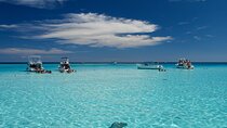 Grand Cayman 3-Stop Snorkel Adventure: Stingray City & Reefs Tour