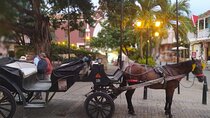 Colonial Carriage with Private Horse through the Ancient City 