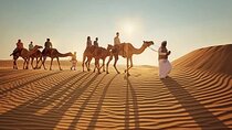Qatar: Sunrise or Sunset Desert Tour in Doha, unforgettable trip