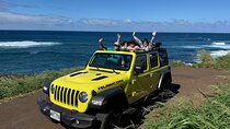 Private Road to Hana Maui Open-Air Jeep Tour