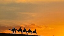 Marrakech: Agafay Desert Dinner Show with Sunset Camel Ride