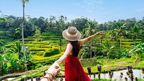 Full Day In Ubud With Private Tour