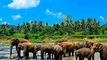 Sri Lanka Experience in 13 Days Private Tour