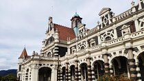 Dunedin City and Coastal Views 3-Hour Small-Group Guided Tour