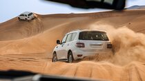Dubai Desert Safari: Camel Ride, Shows & VIP Area Dining
