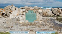 From Cape Town Full Day Cape Agulhas Private Tour Experience