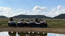 Quad Bike Safari Scenic 60 Minute Game Ride 