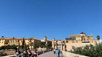 Guided tour of Cordoba from the Costa del Sol