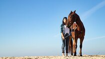 1-Hour Horse Ride, Bedouin Dinner & Show - Sharm El Sheikh