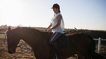 2-Hours Desert Horse Ride Experience – Sharm El Sheikh
