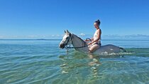 Horse Ride 3 Hours & Swimming in Red Sea (Sea & Desert)- Hurghada