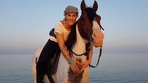 1 Hour Horseback Riding at Nabq Bay Beach - Sharm El Sheikh