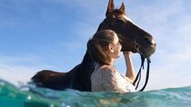 Experience Horseback Riding & Swimming For 3 Hours - Hurghada
