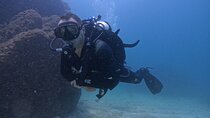 From Dubai: 3 Dives in Fujairah with BBQ Lunch and Transfer
