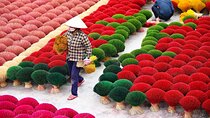 Hanoi City Small Group Tour and Incense Village 