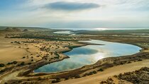 Explore Fayoum A Captivating Day Trip to Egypt's Hidden Oasis