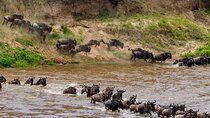 10 Days Private Camping Safari & Great Migration 