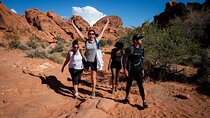 Valley of Fire Guided Hiking Tour and Mojave Desert Adventure