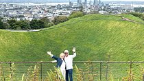 Auckland City Top Spots Half Day Private Tour