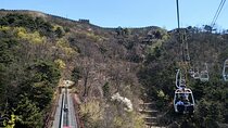 Private Trip to Mutianyu Great Wall&Olympic Stadium with English Speaking Driver