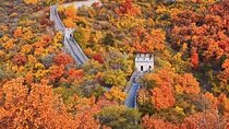 Mutianyu Great Wall and Forbidden City Private Tour with Lunch