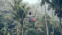 Ubud Swing and Ubud Village Tour