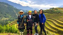 Sapa Trekking Tour from Hanoi – Sleeper Bus + Hotel Combo (2D1N)