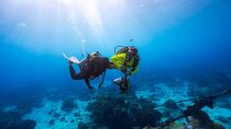 PADI Open Water Diver Training with Pickup – Sharm El Sheikh